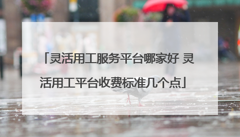灵活用工服务平台哪家好 灵活用工平台收费标准几个点