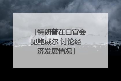 特朗普在白宫会见鲍威尔 讨论经济发展情况