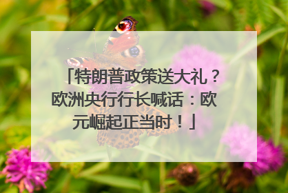 特朗普政策送大礼？欧洲央行行长喊话：欧元崛起正当时！