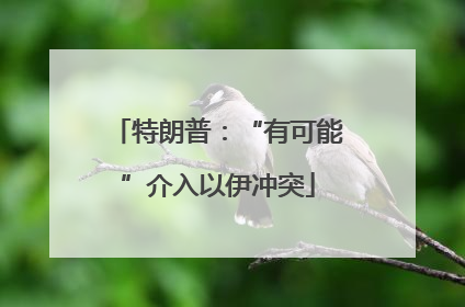 特朗普：“有可能”介入以伊冲突