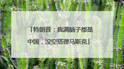 特朗普：我满脑子都是中国，没空搭理马斯克