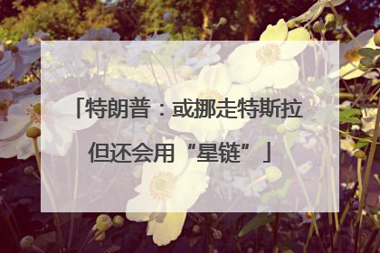 特朗普：或挪走特斯拉 但还会用“星链”