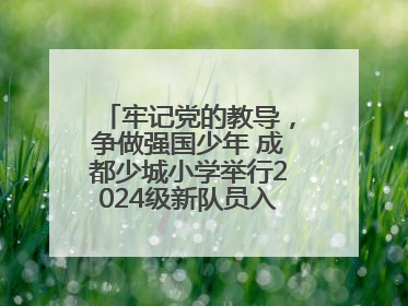 牢记党的教导，争做强国少年 成都少城小学举行2024级新队员入队仪式