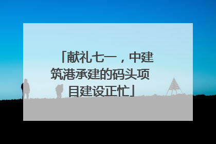 献礼七一，中建筑港承建的码头项目建设正忙