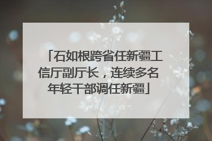 石如根跨省任新疆工信厅副厅长，连续多名年轻干部调任新疆