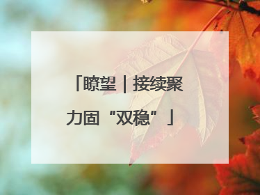 瞭望｜接续聚力固“双稳”