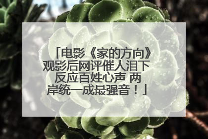 电影《家的方向》观影后网评催人泪下 反应百姓心声 两岸统一成最强音！
