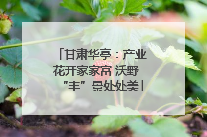 甘肃华亭：产业花开家家富 沃野“丰”景处处美