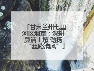 甘肃兰州七里河区烟草：深耕廉洁土壤 劲扬“丝路清风”