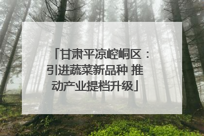 甘肃平凉崆峒区：引进蔬菜新品种 推动产业提档升级