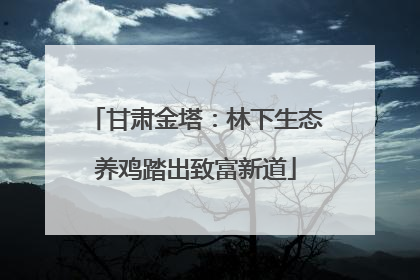 甘肃金塔：林下生态养鸡踏出致富新道