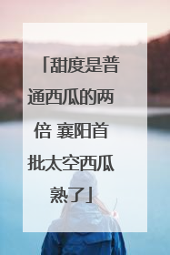 甜度是普通西瓜的两倍 襄阳首批太空西瓜熟了