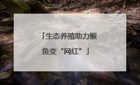 生态养殖助力鳜鱼变“网红”