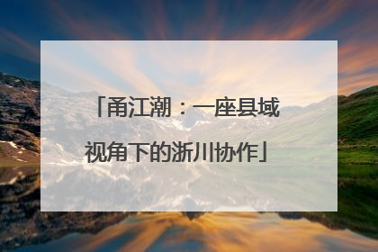 甬江潮：一座县域视角下的浙川协作