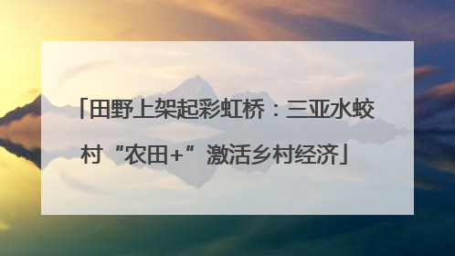 田野上架起彩虹桥：三亚水蛟村“农田+”激活乡村经济