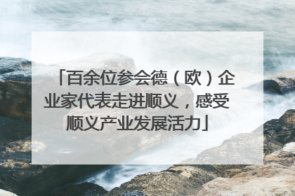 百余位参会德（欧）企业家代表走进顺义，感受顺义产业发展活力
