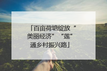 百亩荷塘绽放“美丽经济”“莲”通乡村振兴路