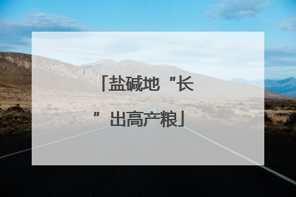 盐碱地“长”出高产粮