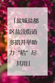 盐城盐都区盐渎街道多措并举助力“秸”尽其用
