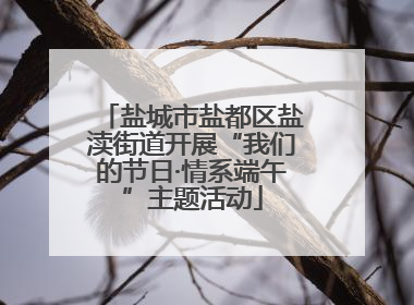 盐城市盐都区盐渎街道开展“我们的节日·情系端午”主题活动