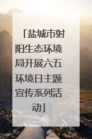 盐城市射阳生态环境局开展六五环境日主题宣传系列活动
