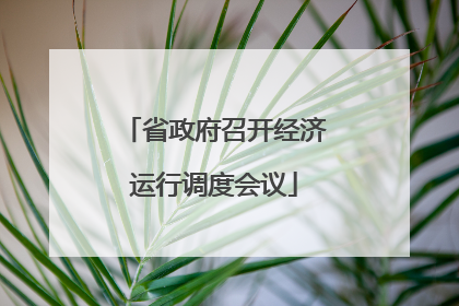 省政府召开经济运行调度会议