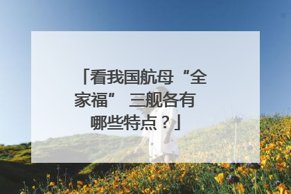 看我国航母“全家福” 三舰各有哪些特点？