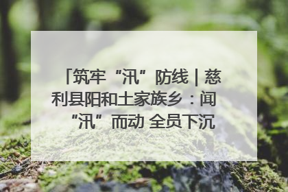 筑牢“汛”防线｜慈利县阳和土家族乡：闻“汛”而动 全员下沉筑牢防汛“安全堤”