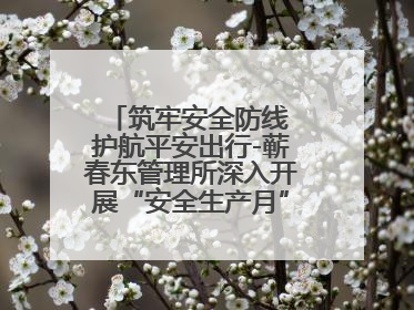 筑牢安全防线 护航平安出行-蕲春东管理所深入开展“安全生产月”系列活动