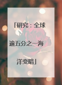 研究：全球逾五分之一海洋变暗
