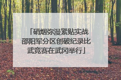 硝烟弥漫紧贴实战 邵阳军分区创破纪录比武竞赛在武冈举行