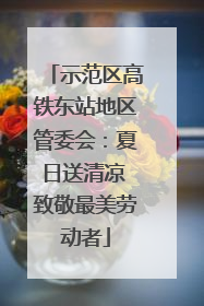 示范区高铁东站地区管委会：夏日送清凉 致敬最美劳动者