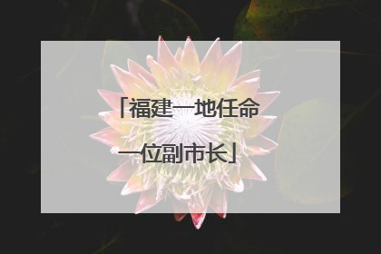 福建一地任命一位副市长