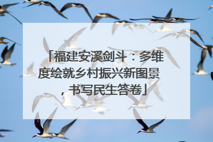 福建安溪剑斗：多维度绘就乡村振兴新图景，书写民生答卷
