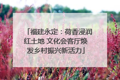 福建永定：荷香浸润红土地 文化会客厅焕发乡村振兴新活力