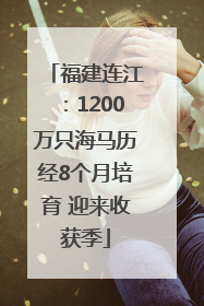 福建连江：1200万只海马历经8个月培育 迎来收获季