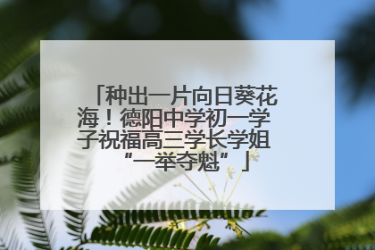 种出一片向日葵花海！德阳中学初一学子祝福高三学长学姐“一举夺魁”