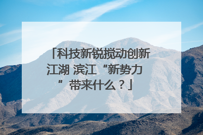 科技新锐搅动创新江湖 滨江“新势力”带来什么？