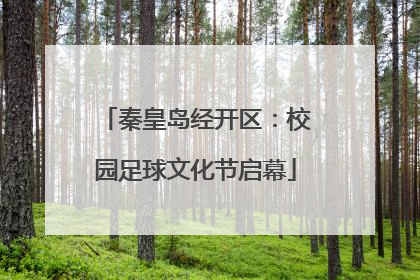 秦皇岛经开区：校园足球文化节启幕