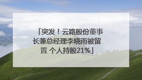 突发！云路股份董事长兼总经理李晓雨被留置 个人持股21%