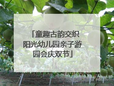 童趣古韵交织 阳光幼儿园亲子游园会庆双节