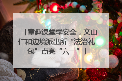 童趣课堂学安全，文山仁和边境派出所“法治礼包”点亮“六一”