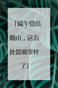 端午登岳麓山，这五处景观变样了