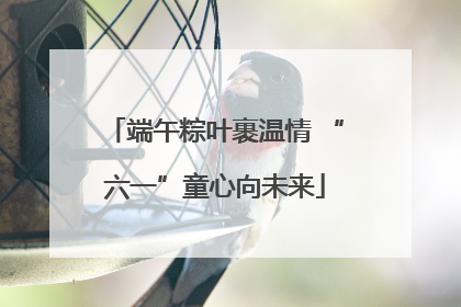 端午粽叶裹温情 “六一”童心向未来