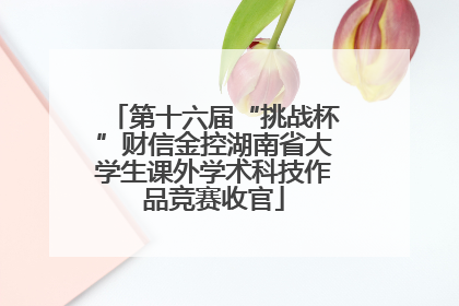 第十六届“挑战杯”财信金控湖南省大学生课外学术科技作品竞赛收官
