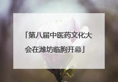 第八届中医药文化大会在潍坊临朐开幕