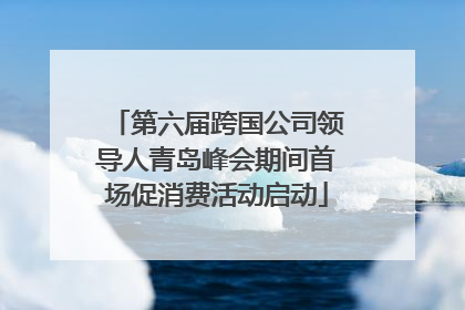 第六届跨国公司领导人青岛峰会期间首场促消费活动启动