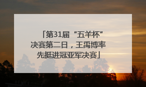 第31届“五羊杯”决赛第二日，王禹博率先挺进冠亚军决赛