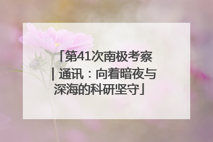 第41次南极考察｜通讯：向着暗夜与深海的科研坚守