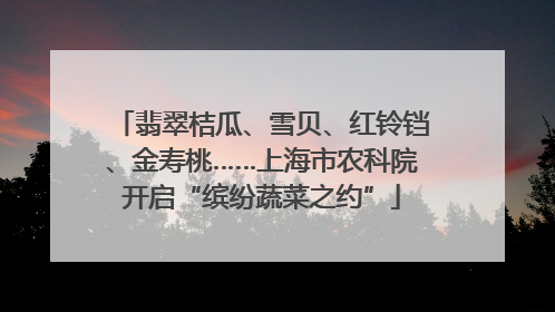 翡翠桔瓜、雪贝、红铃铛、金寿桃……上海市农科院开启“缤纷蔬菜之约”